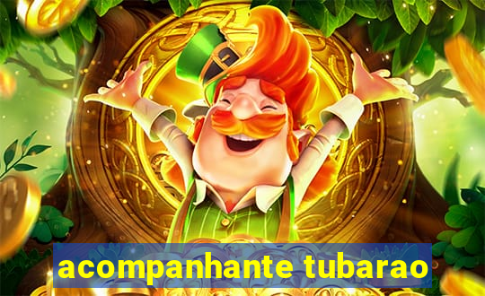 acompanhante tubarao